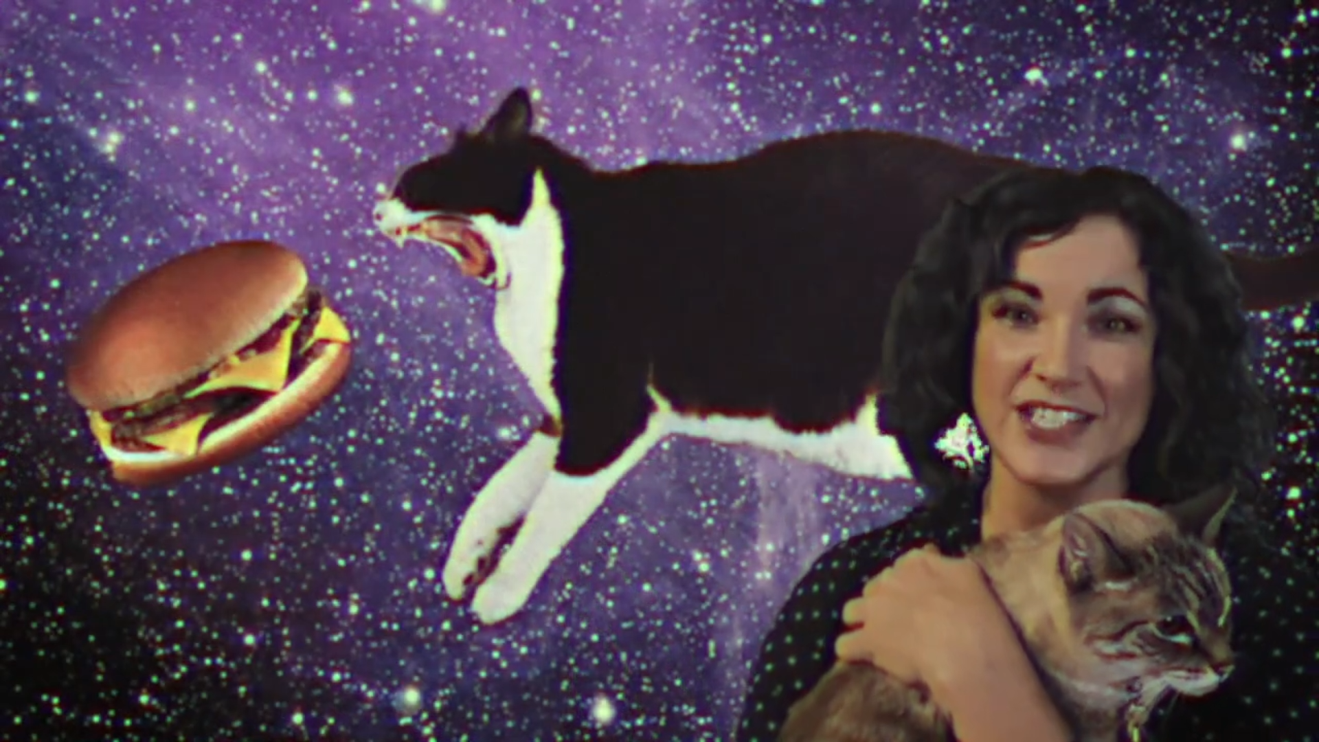 WOW Signal - Cats in Space - Lucianne talking in front of a cat in space jumping at a cheesburger.